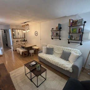 Appartement La Mongie au pied des pistes T2 46 m2 parking et wifi